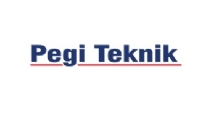 PEGİ TEKNİK LOGO